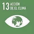 13 ODS