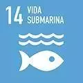 14 ODS