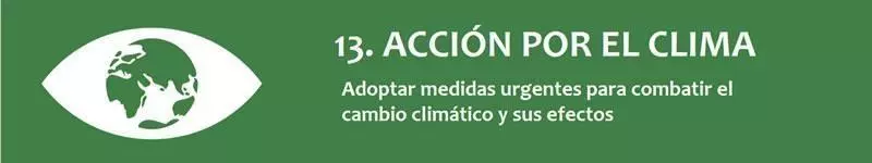 CintaODS13