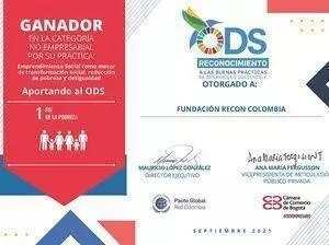 Certificado RECON reconocimiento