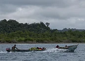 “Es un paso atrás”: Erika López, guardiana de Malpelo, sobre medida que regula la pesca de tiburón