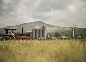 Convocatoria abierta: Bavaria busca 300 agricultores de cebada para incluir en su proceso cervecero
