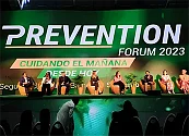 Colombia a la vanguardia de la sostenibilidad en el marco  de la seguridad y salud en el trabajo