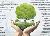 Las sanciones penales y administrativas que estipula la ley por causar daño ambiental