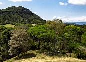Bioeconomía, una gran oportunidad para Colombia