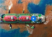 La Unión Europea castigará los delitos medioambientales con multas y hasta diez años de cárcel 