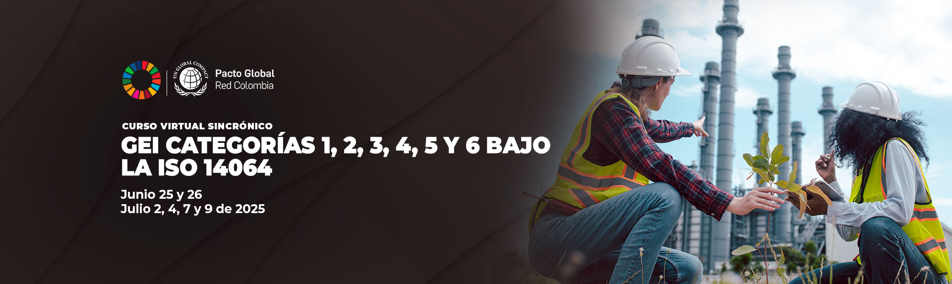 GEI Categorías 1, 2, 3, 4, 5 y 6 bajo la ISO 14064