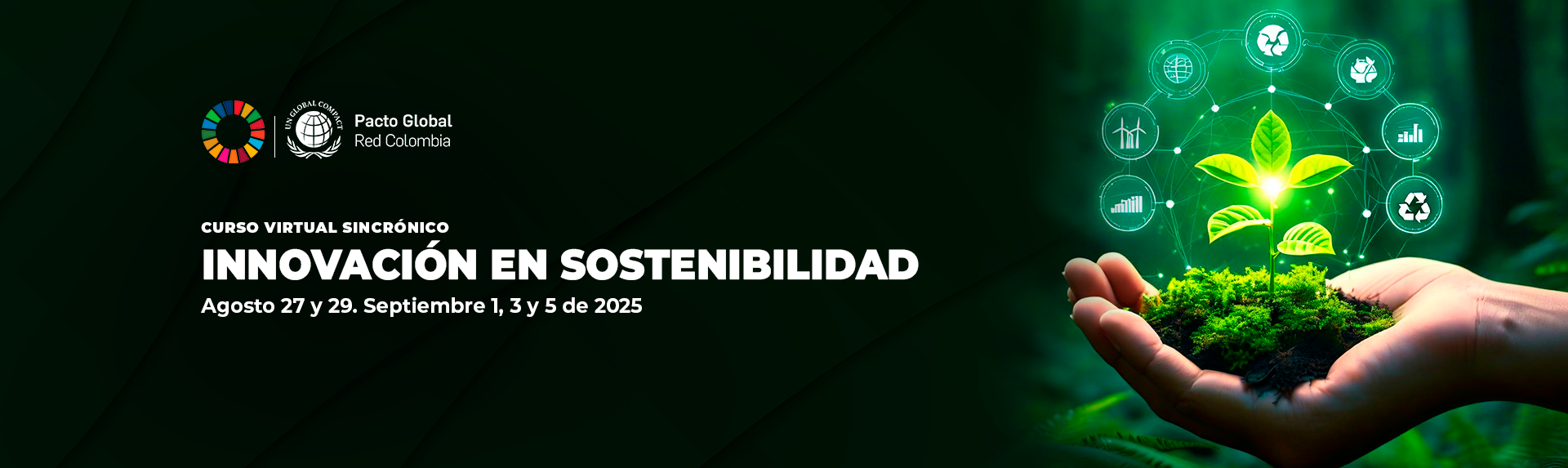 Innovación en sostenibilidad